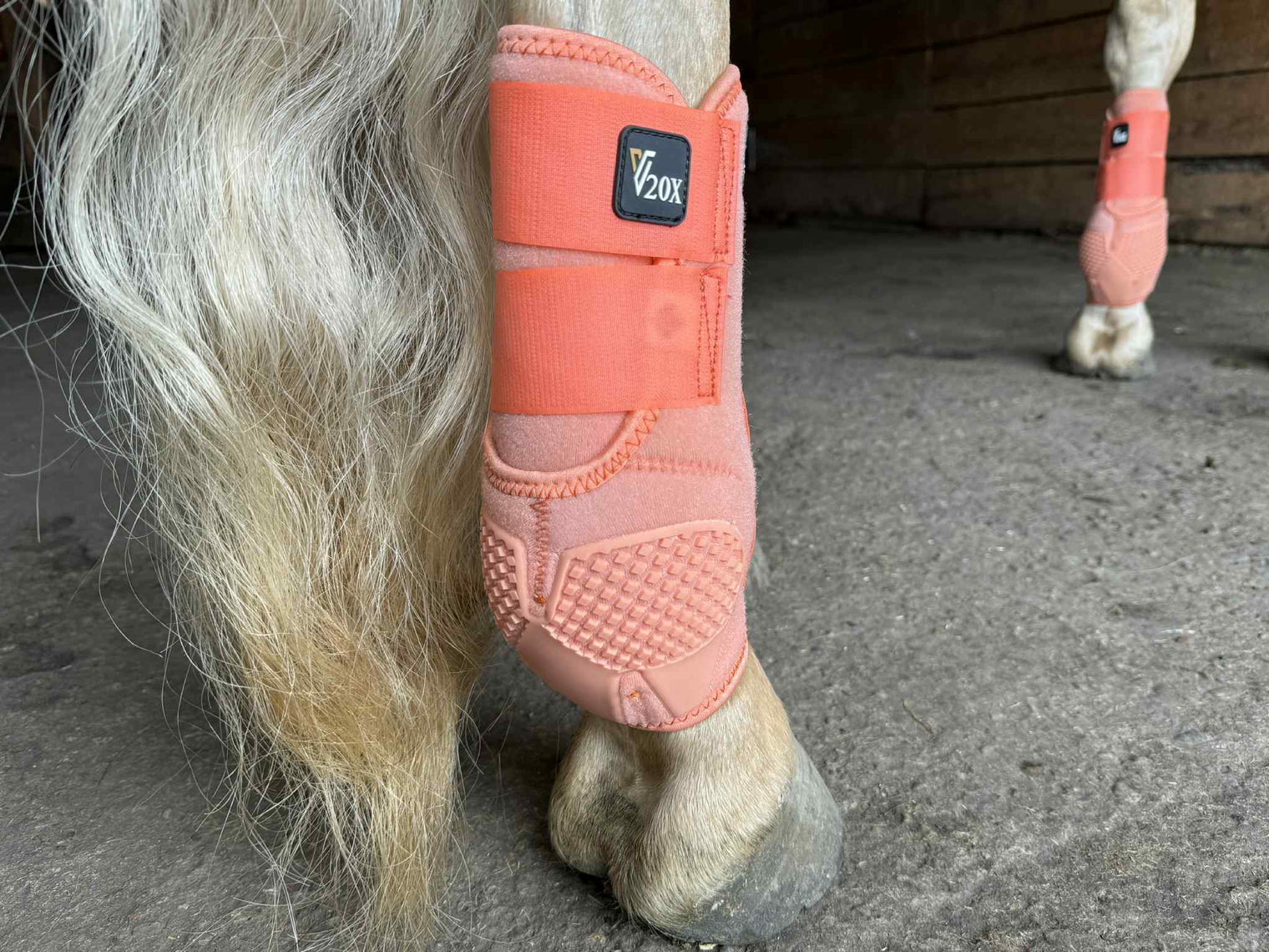 Creamsicle V20x Sport Protective hind boot in barn.