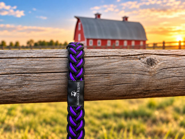 Braided Nylon Reins