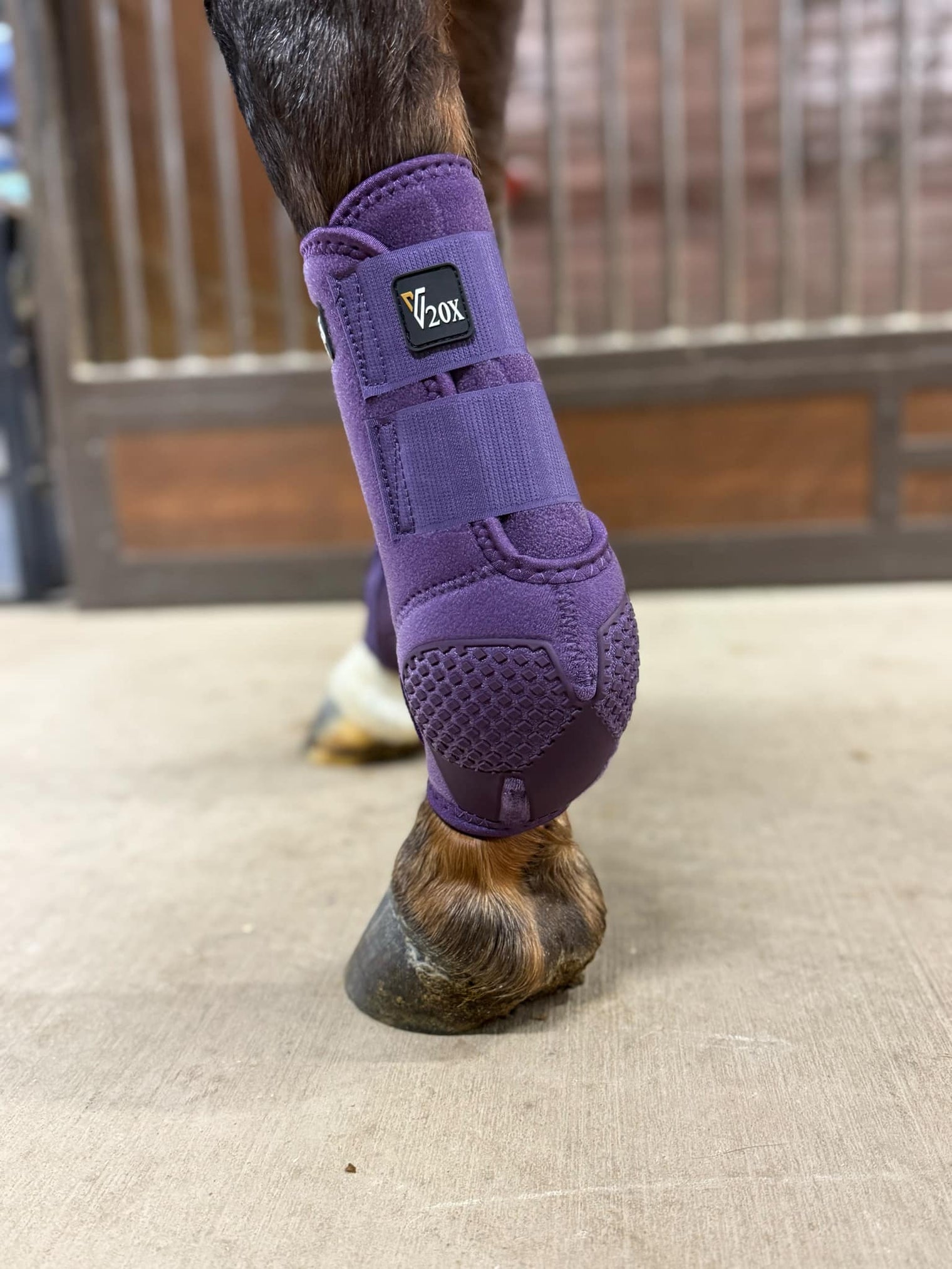 Plum V20x Sport Protective front boot in stable.