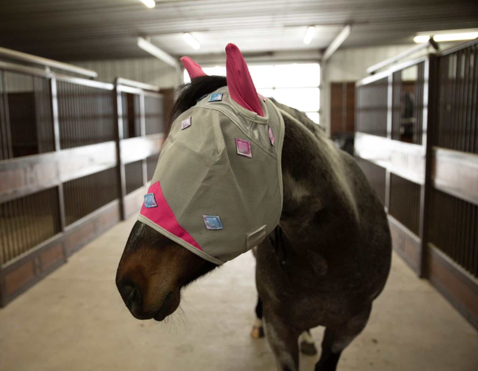 Magnitude Magnetic Fly Mask