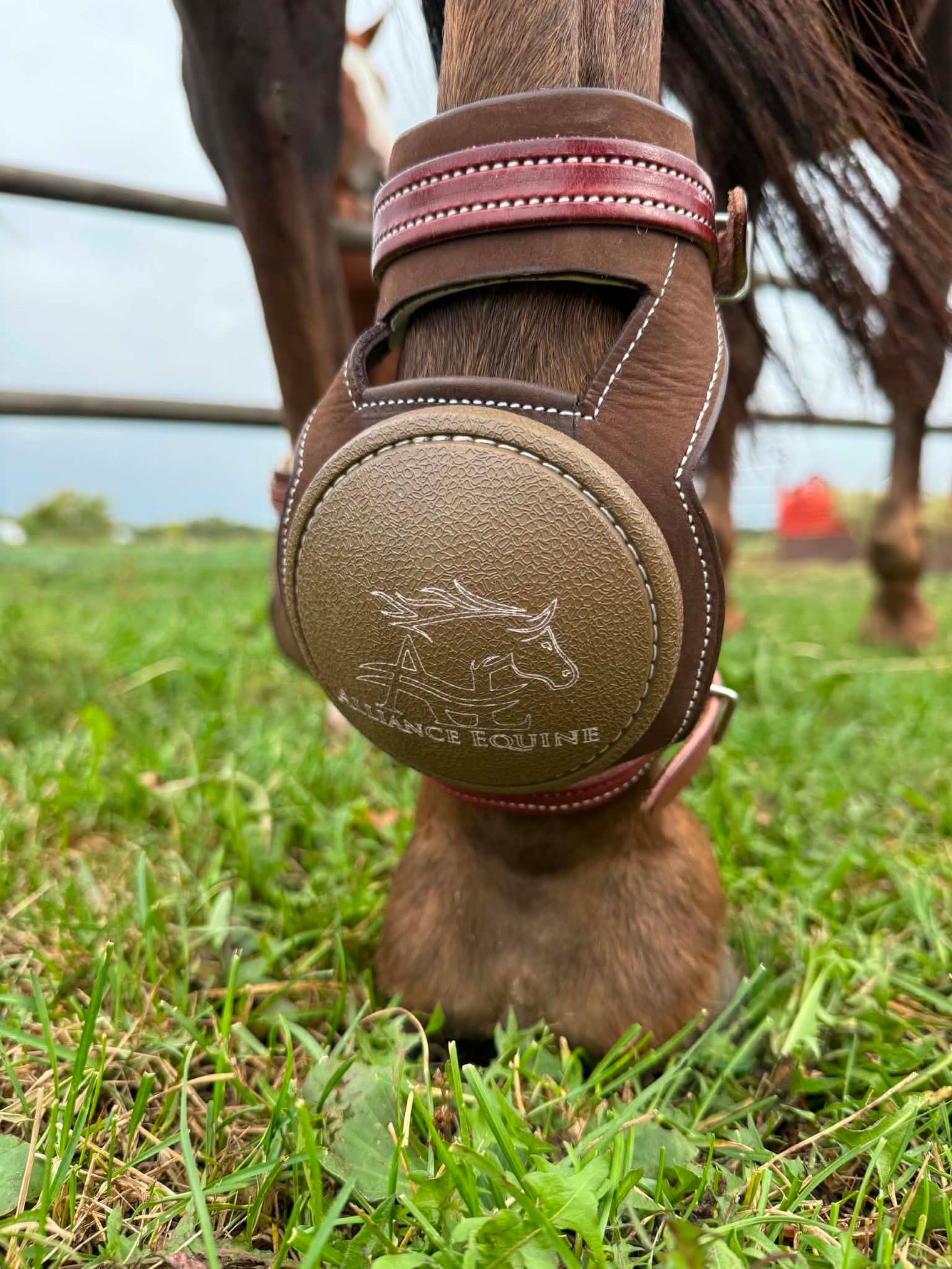 LEATHER SKID BOOTS