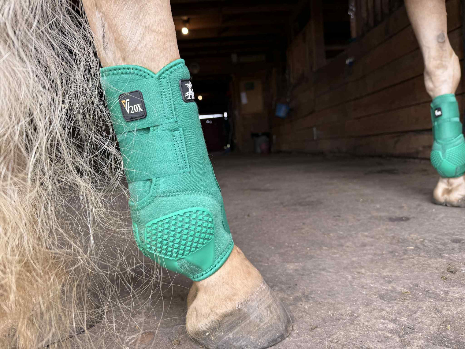 Forrest Green V20x Sport Protective hind boot in stable.