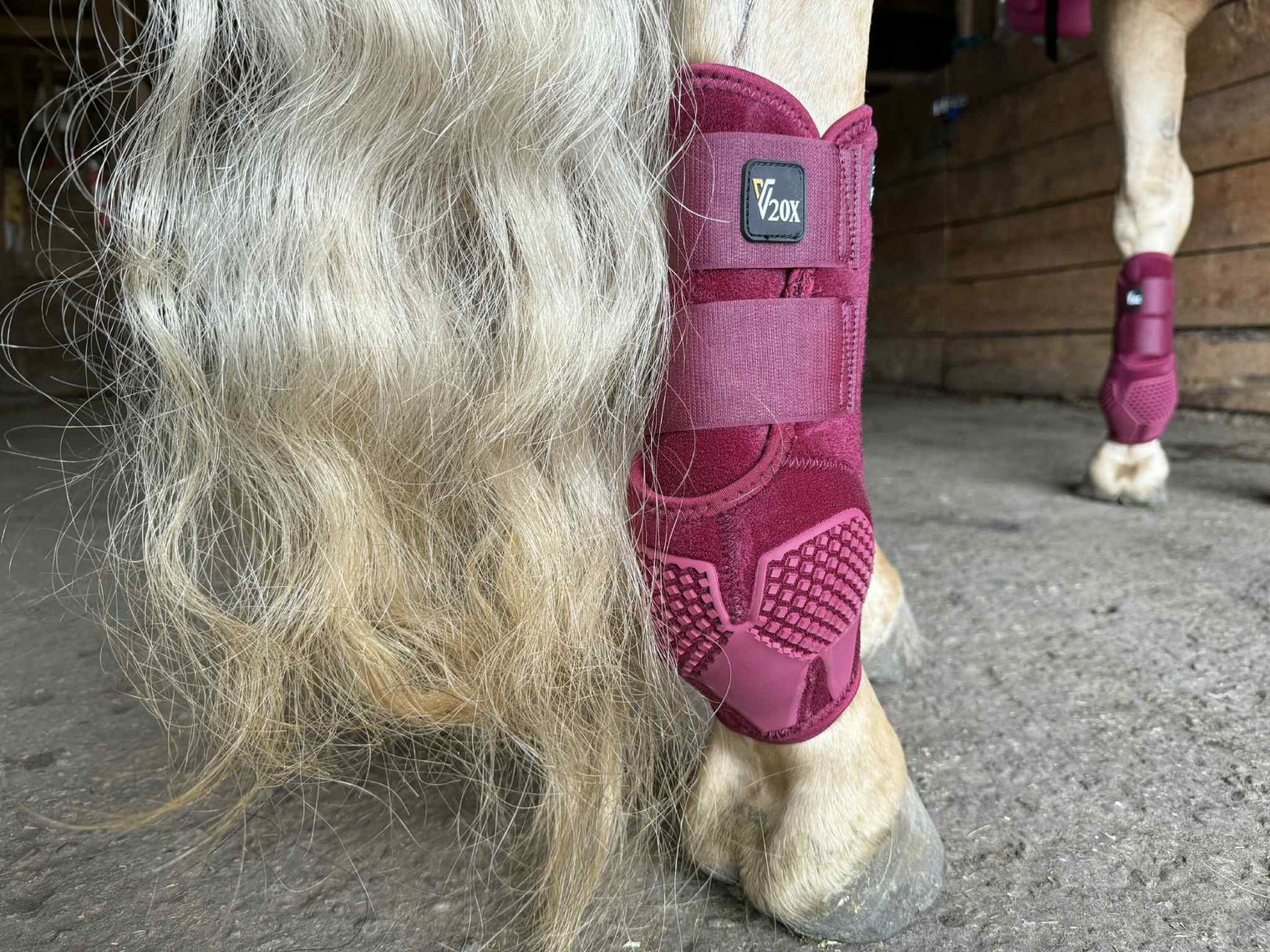 Burgundy V20x Sport Protective hind boot in stable.