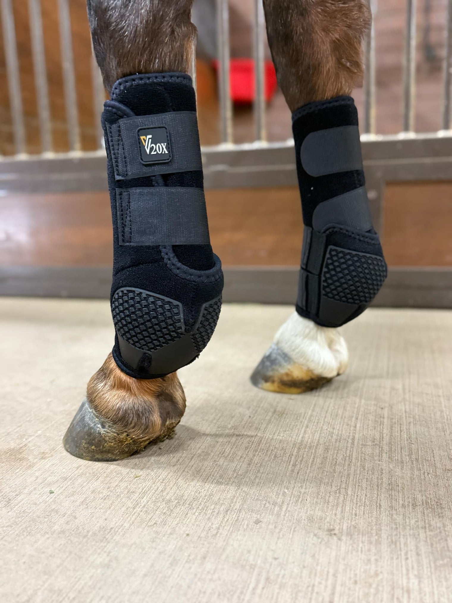 Black V20x Alliance Equine sport protective boots in stable