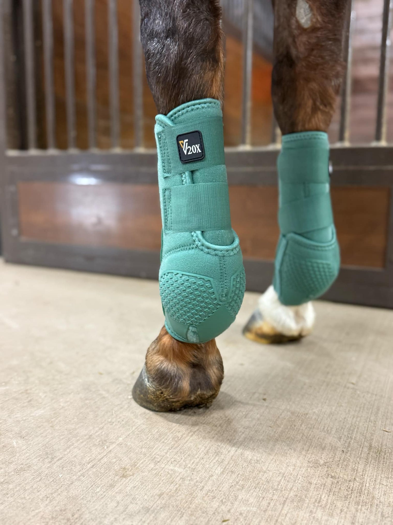 Spruce Green V20x Sport Protective front boot in stable.