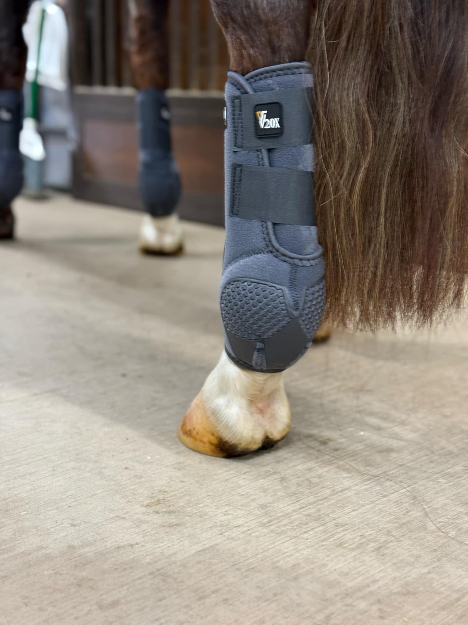 Grey V20x Sport Protective hind boot in stable.