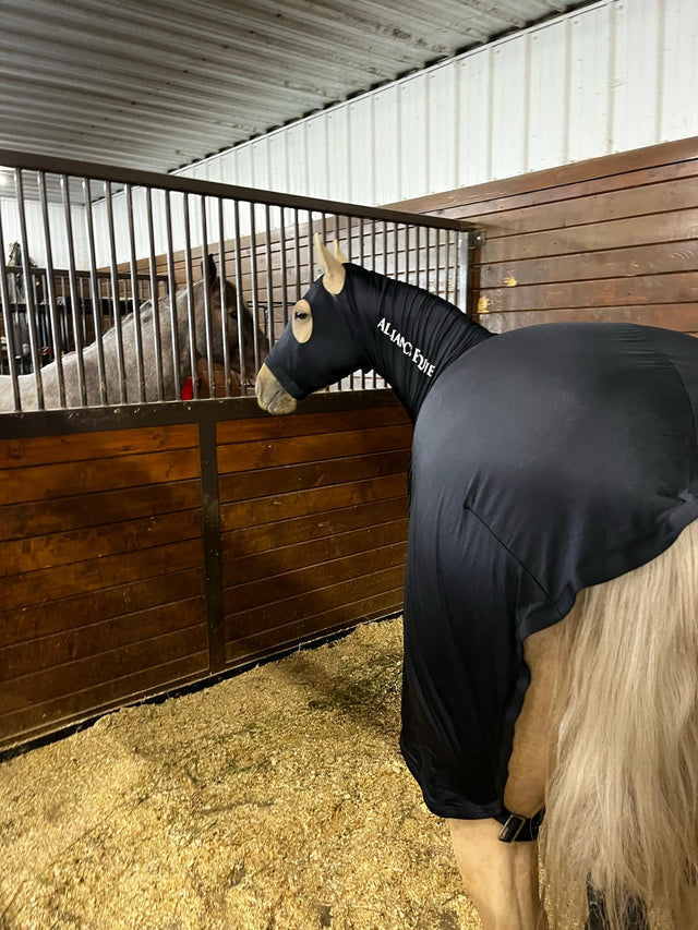 Black full-body slinky of horse in barn clean and show ready