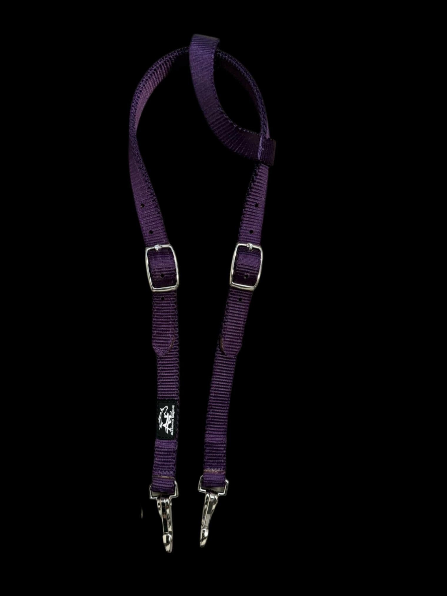 Plum Alliance Equine quick change headstall