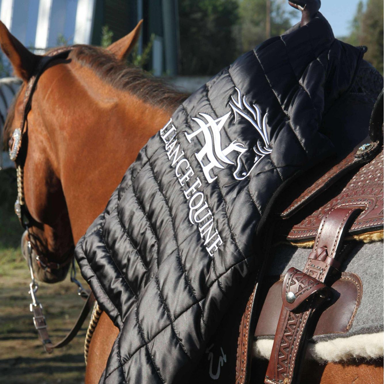 Women's Vest