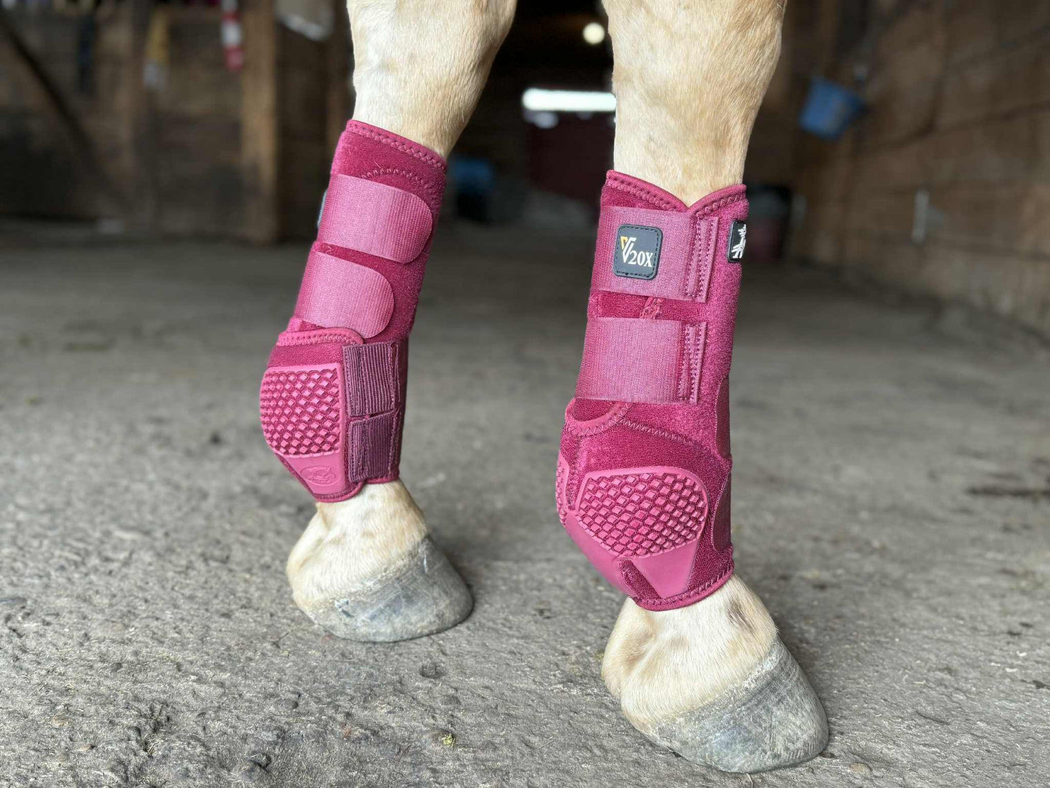 V20x Sport Protective HIND Boot