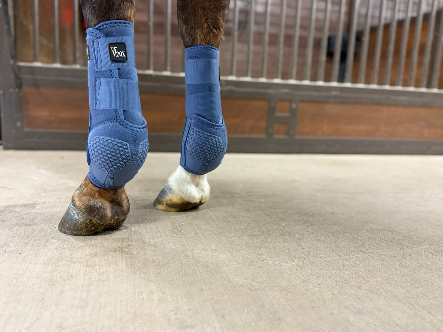 Denim V20x Sport Protective front boot in stable.