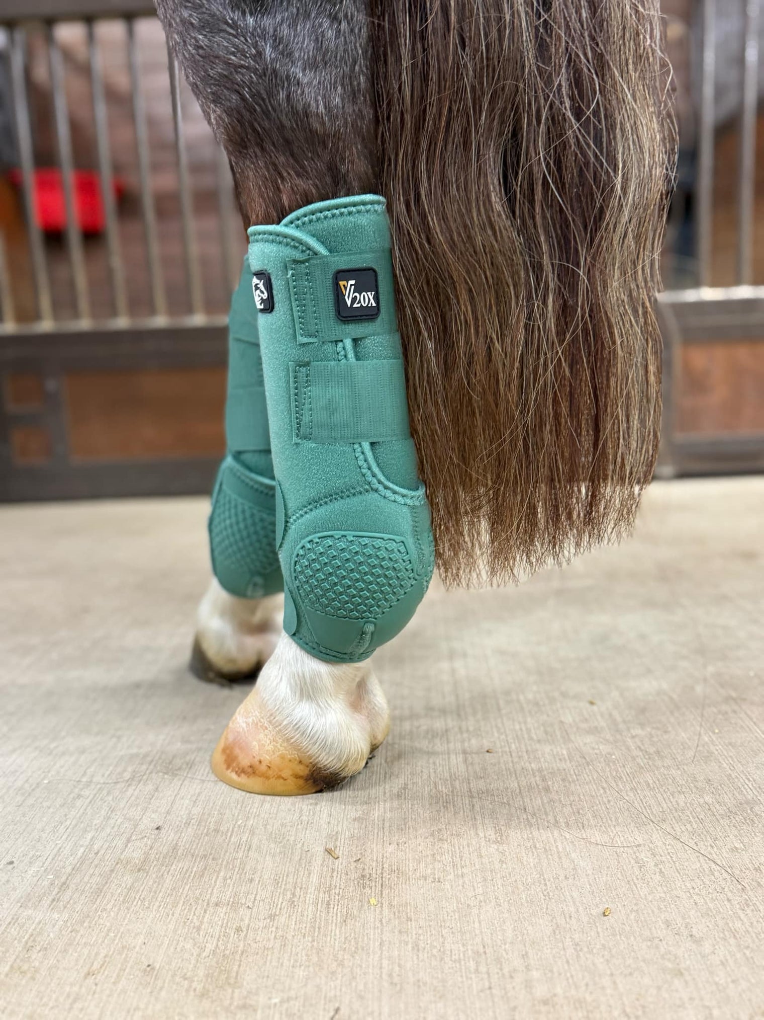 Forrest Green V20x Sport Protective hind boot in stable.