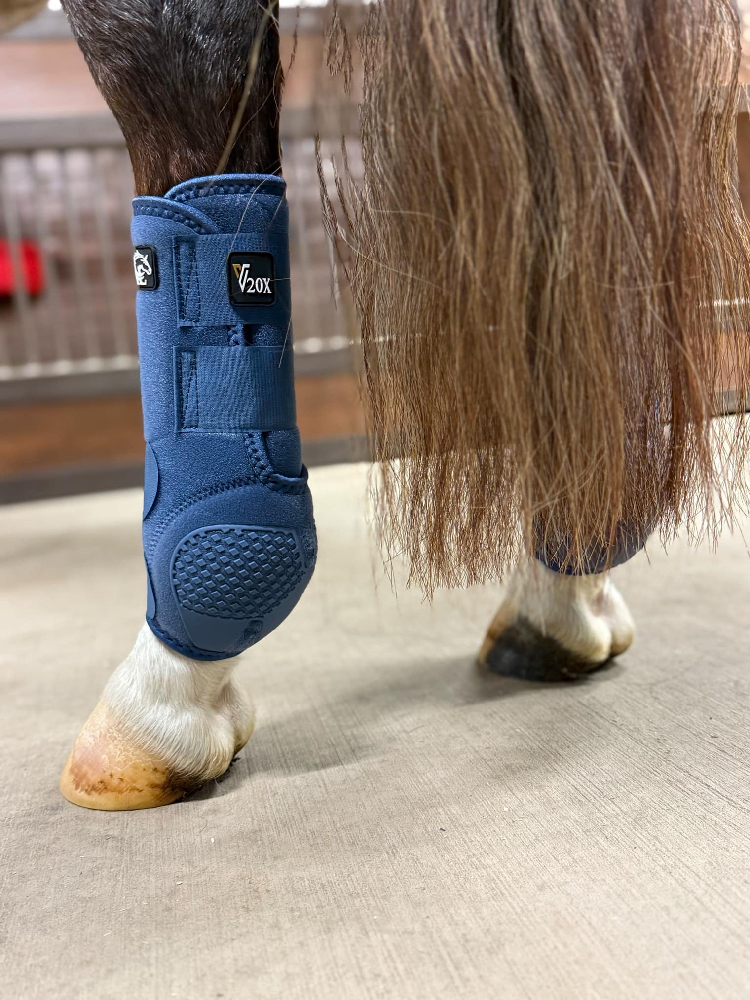 Denim V20x Sport Protective hind boot in stable.