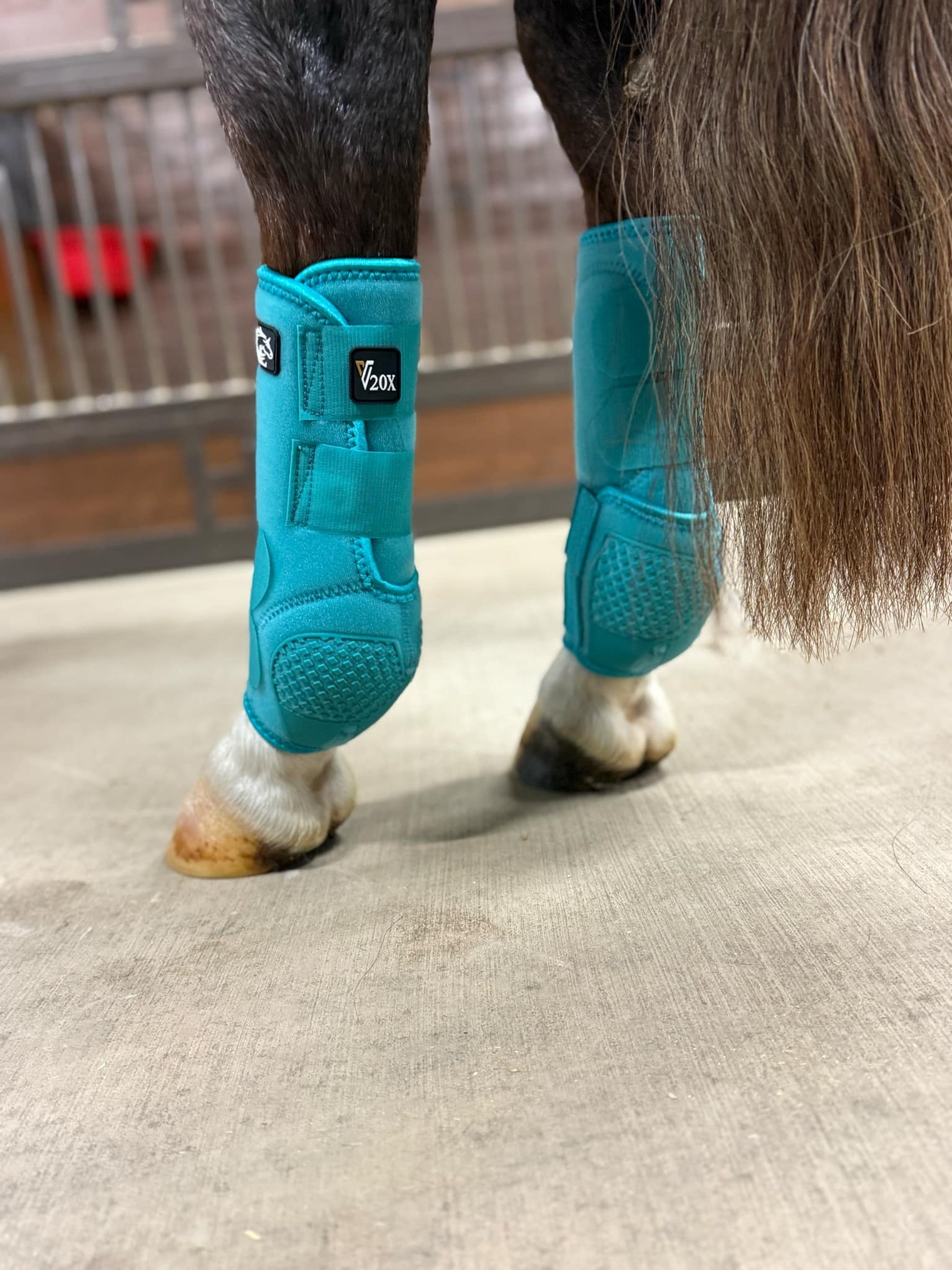 Turquoise V20x Sport Protective hind boot in stable.