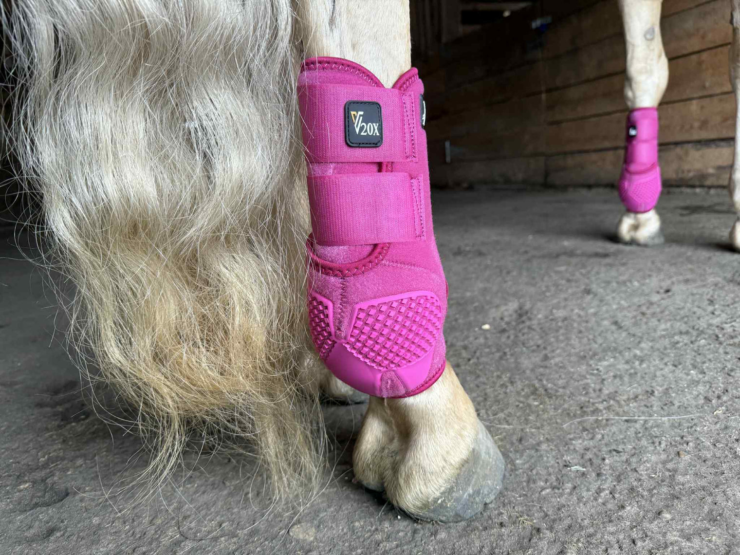 Raspberry V20x Sport Protective hind boot in stable.