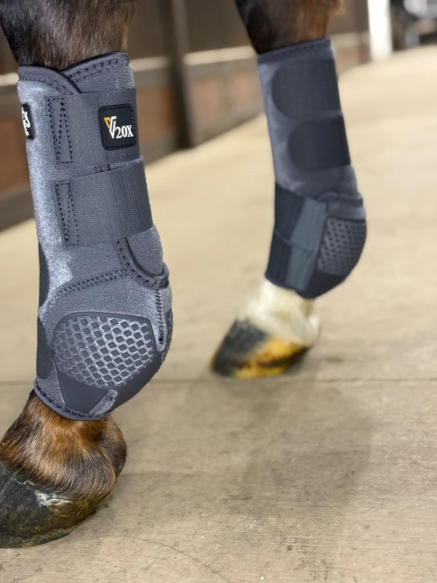 Grey Alliance Equine V20x sport boots in barn.