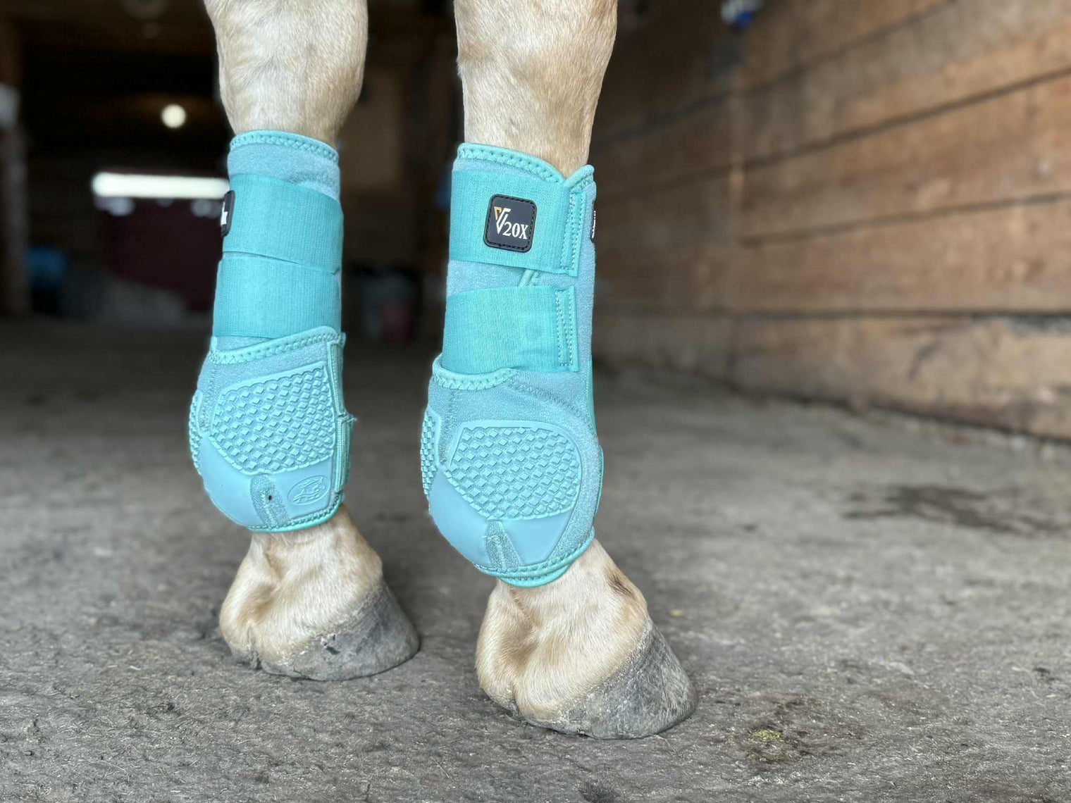 Mint V20x Sport Protective front boot in barn.