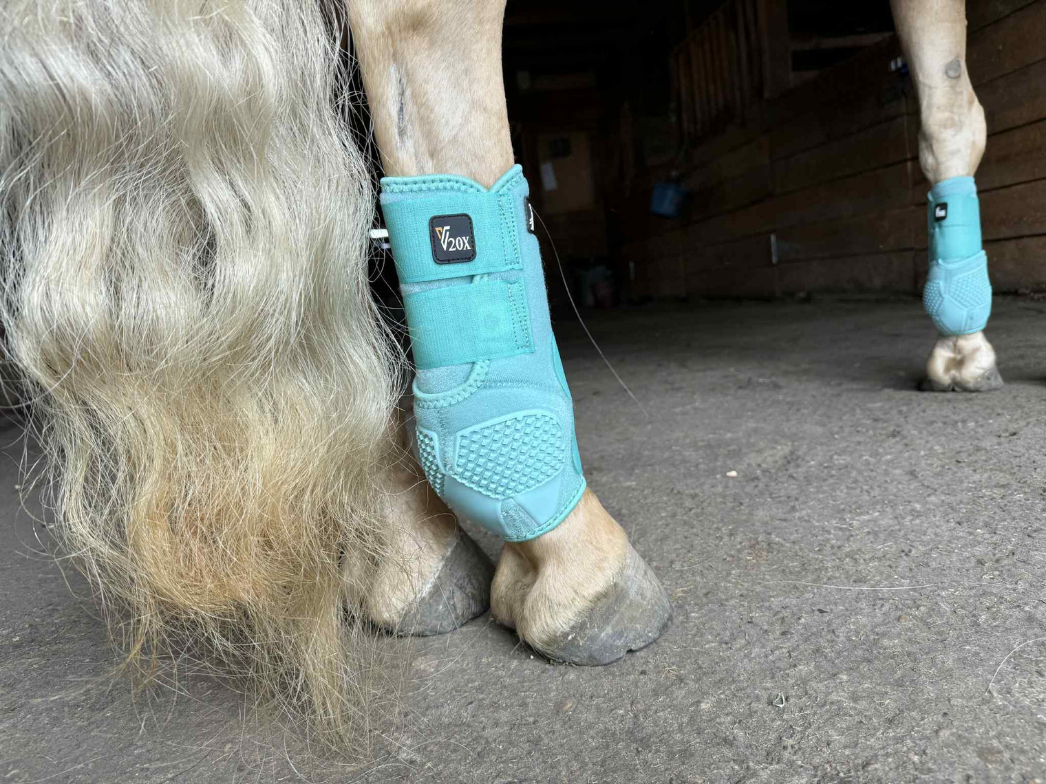 Mint V20x Sport Protective hind boot in barn.