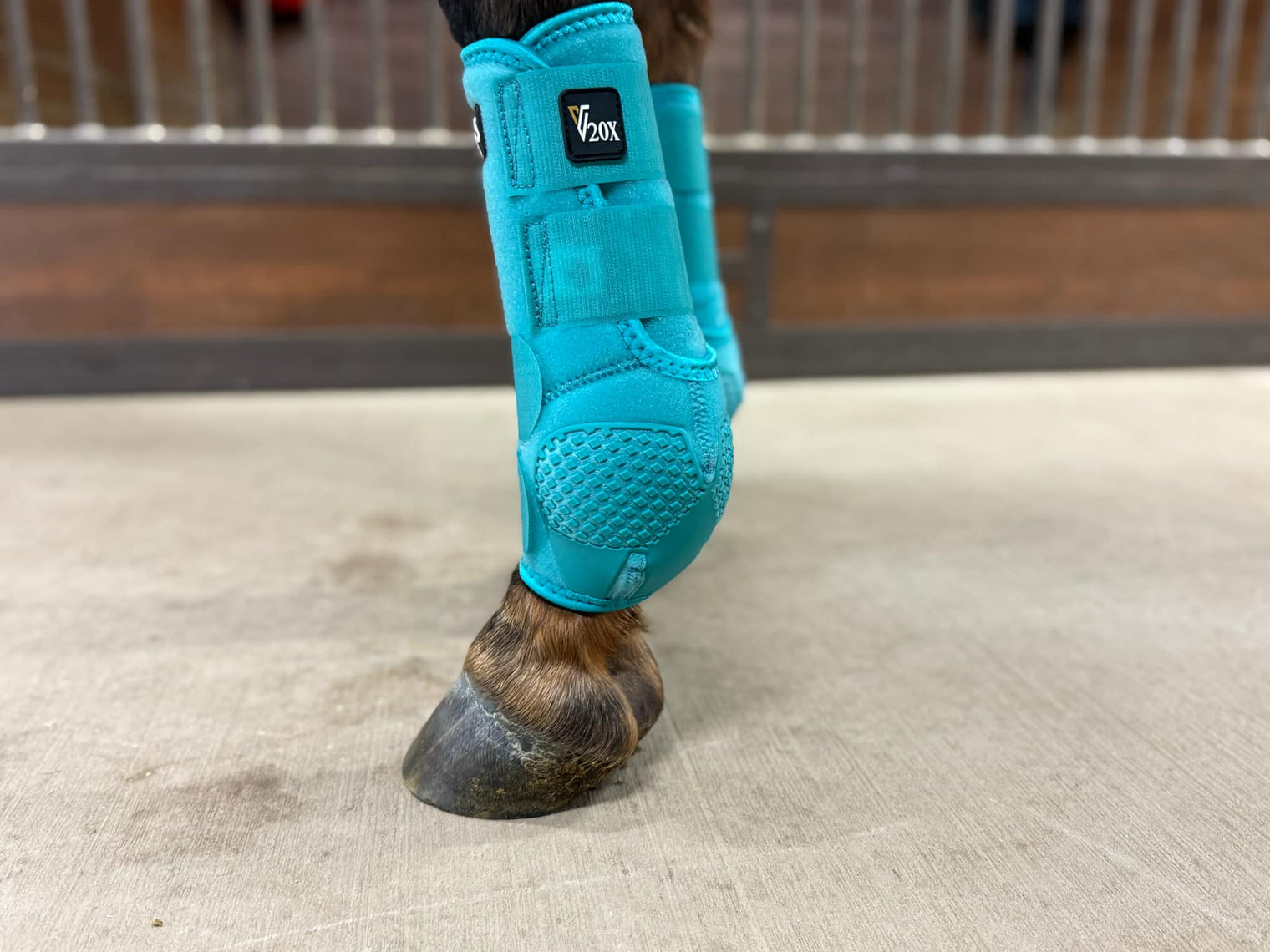 Turquoise V20x Sport Protective front boot in stable.