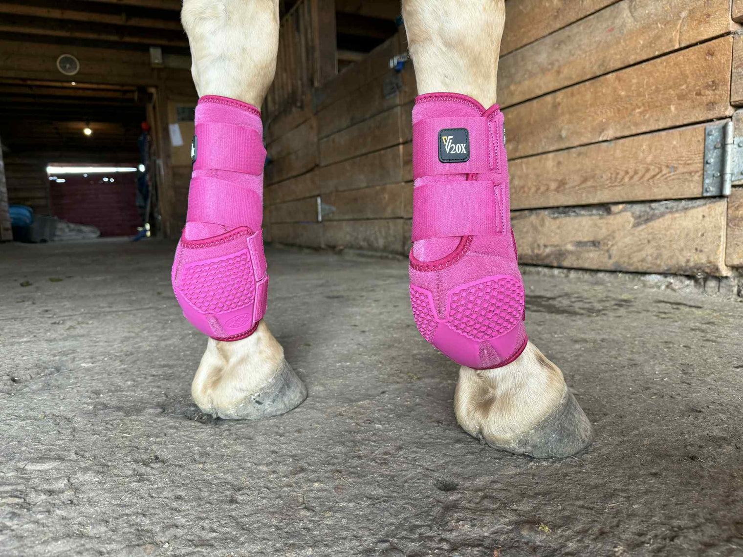 V20x Sport Protective HIND Boot