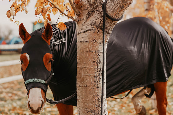 Classic Equine Full Body Slinky- Dark Blue
