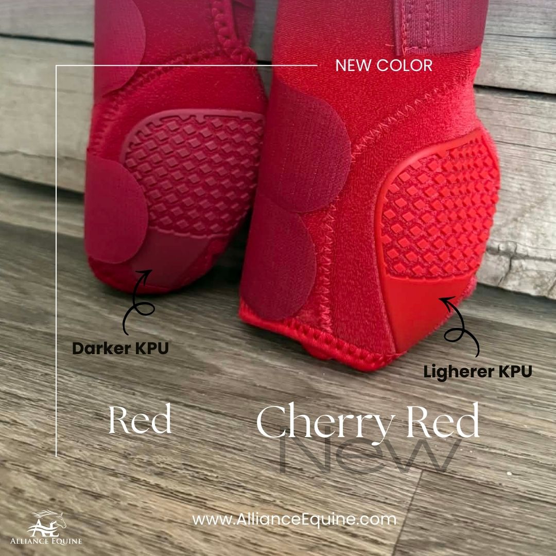 Red and Cherry Red V20x Sport Protective hind boot in stable.
