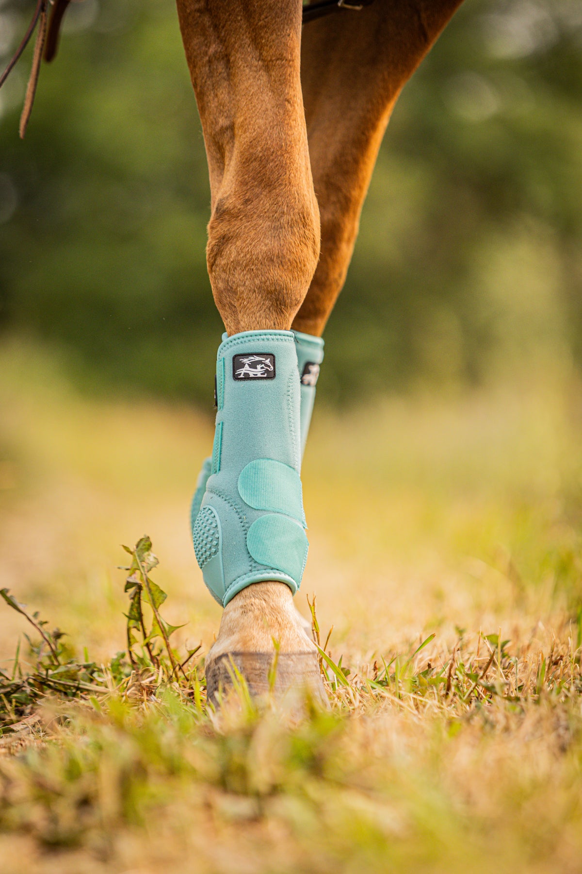 V20x HIND Botte de protection sport