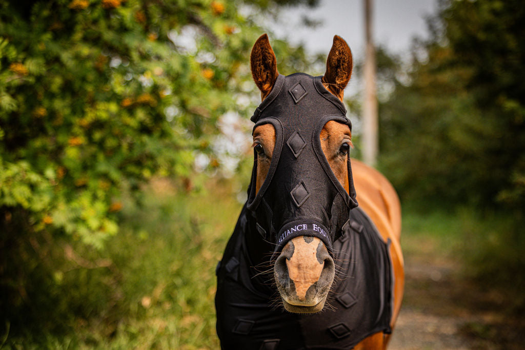 MagniFlex Housse Magnétique pour Cheval