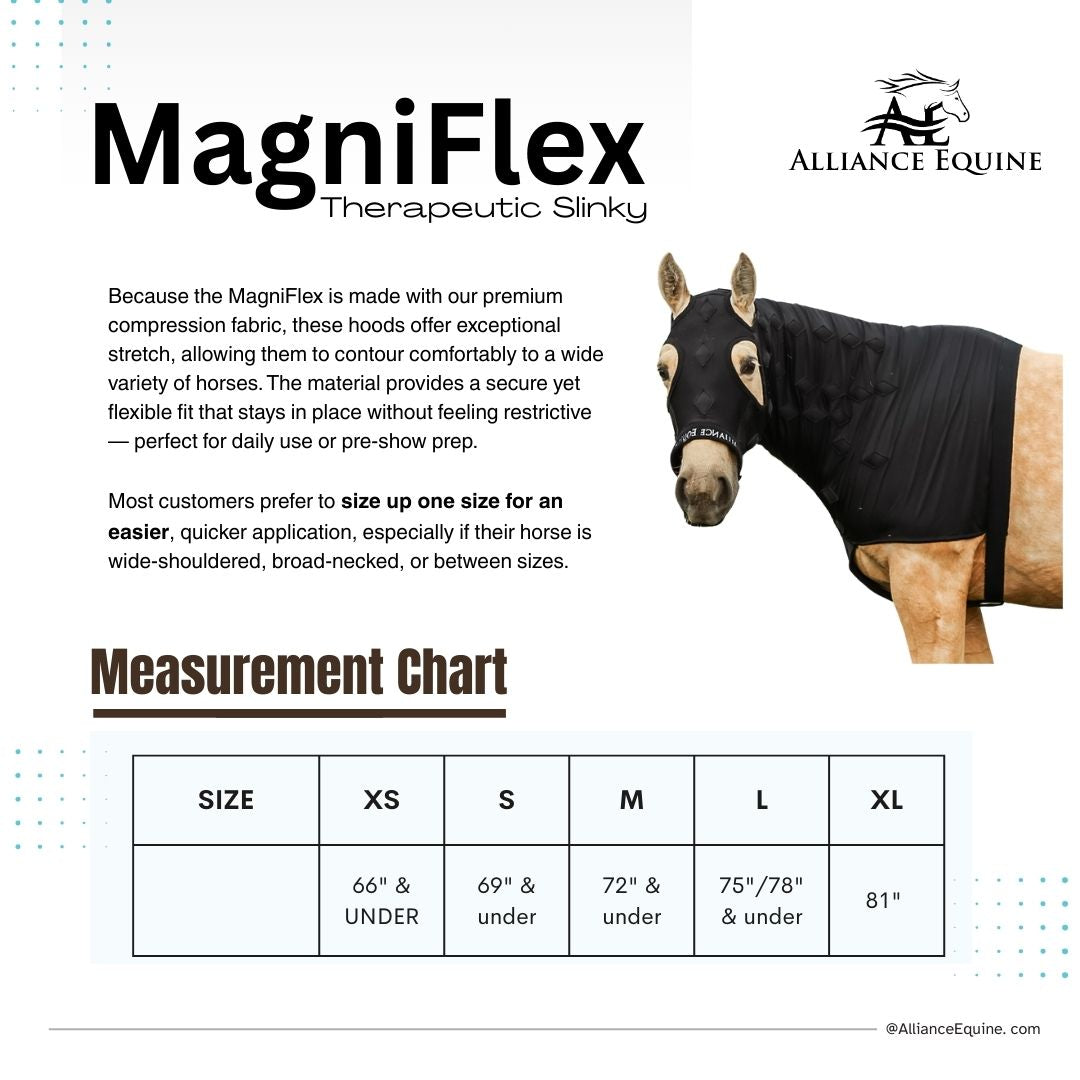 MagniFlex Slinky