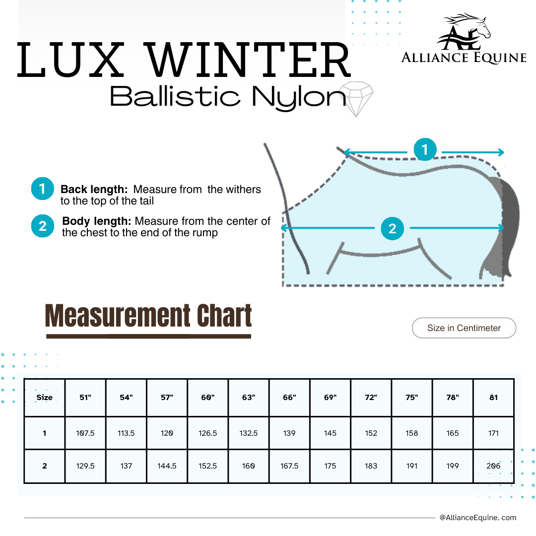 Lux Winter Blanket