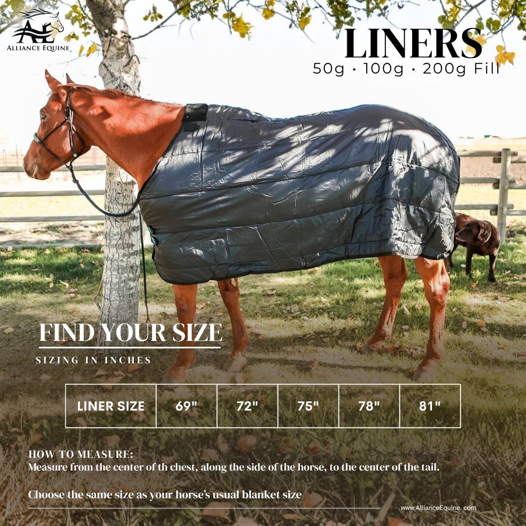 Horse Rug Liner - 50g / 100g / 200g