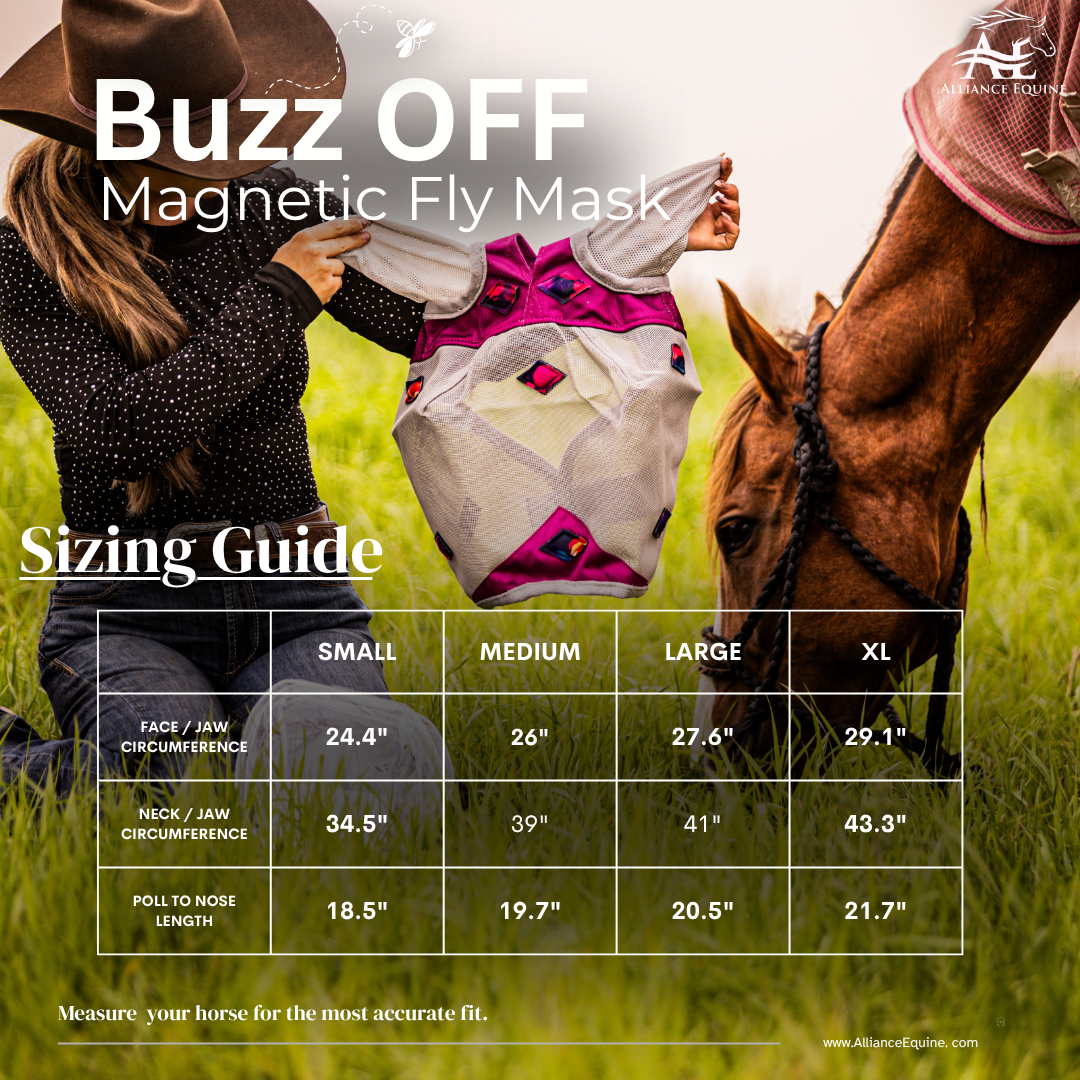 Magnitude Magnetic Fly Mask
