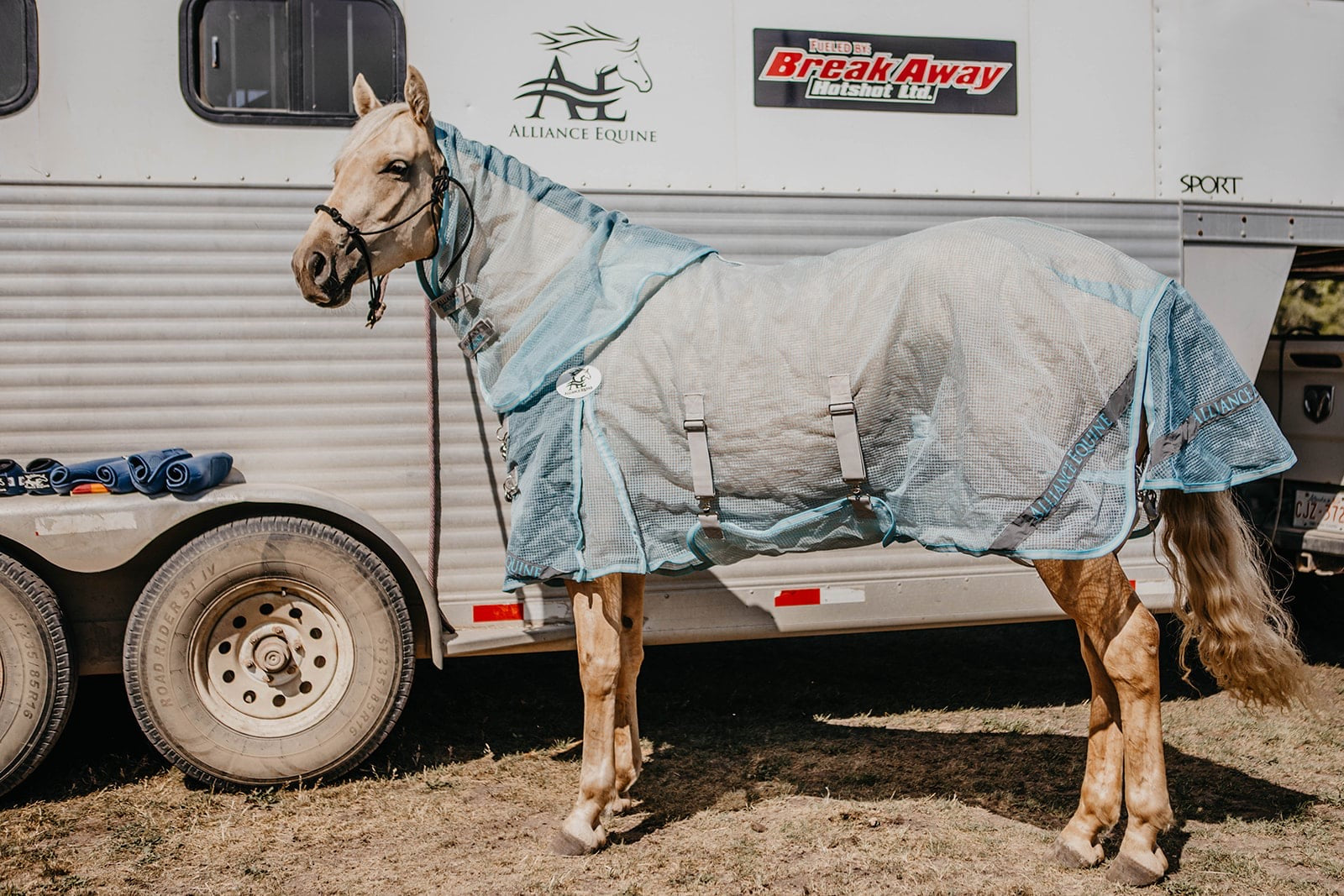 Buzz Off Fly Sheet