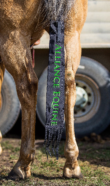 Horse wearing an 'Alliance Equine' branded Tail bag
