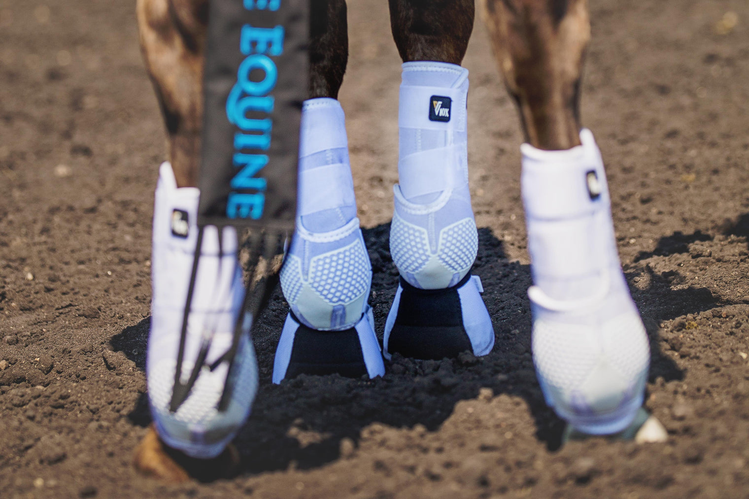 V20x Sport Protective HIND Boot