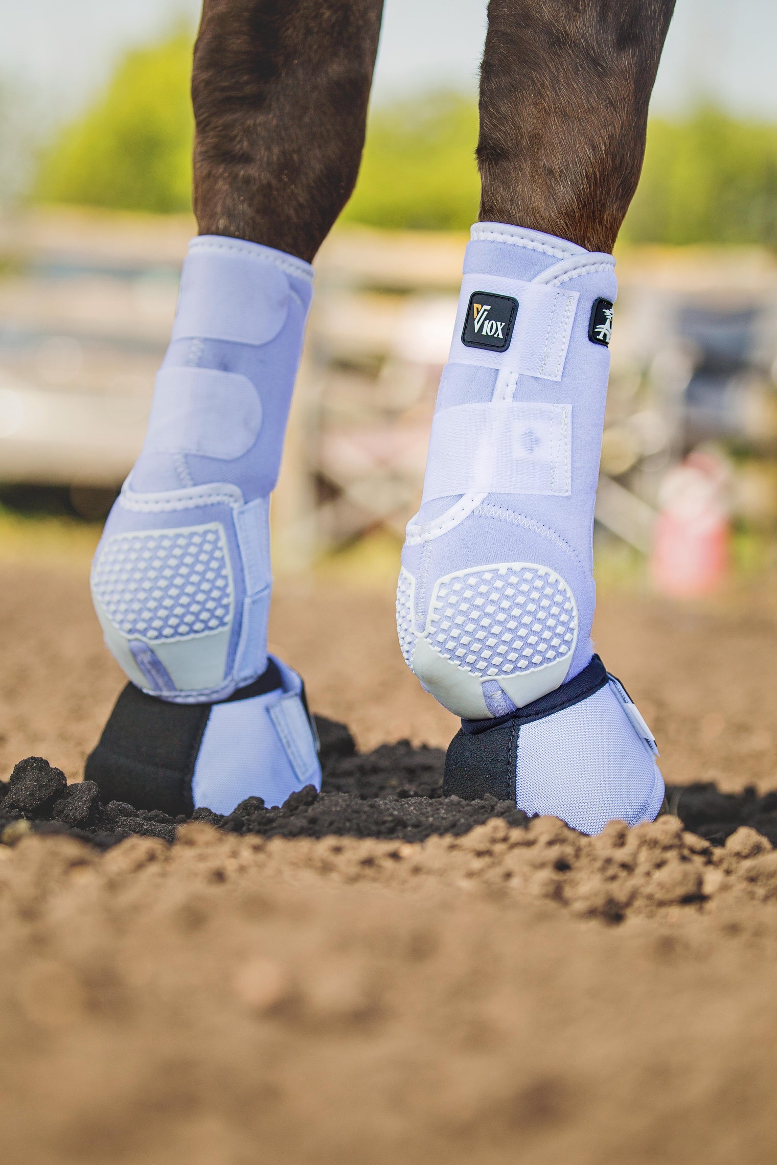 White Alliance Equine V20x horse boots and NO Turn Bell Boots.