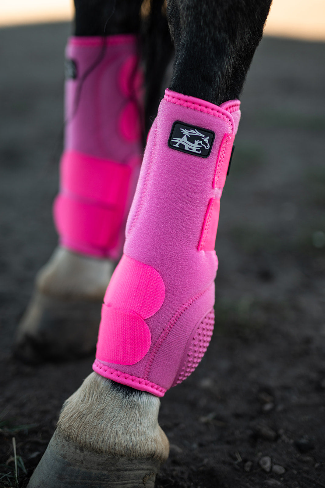 Pink V20x Sport Protective hind boot in stable.