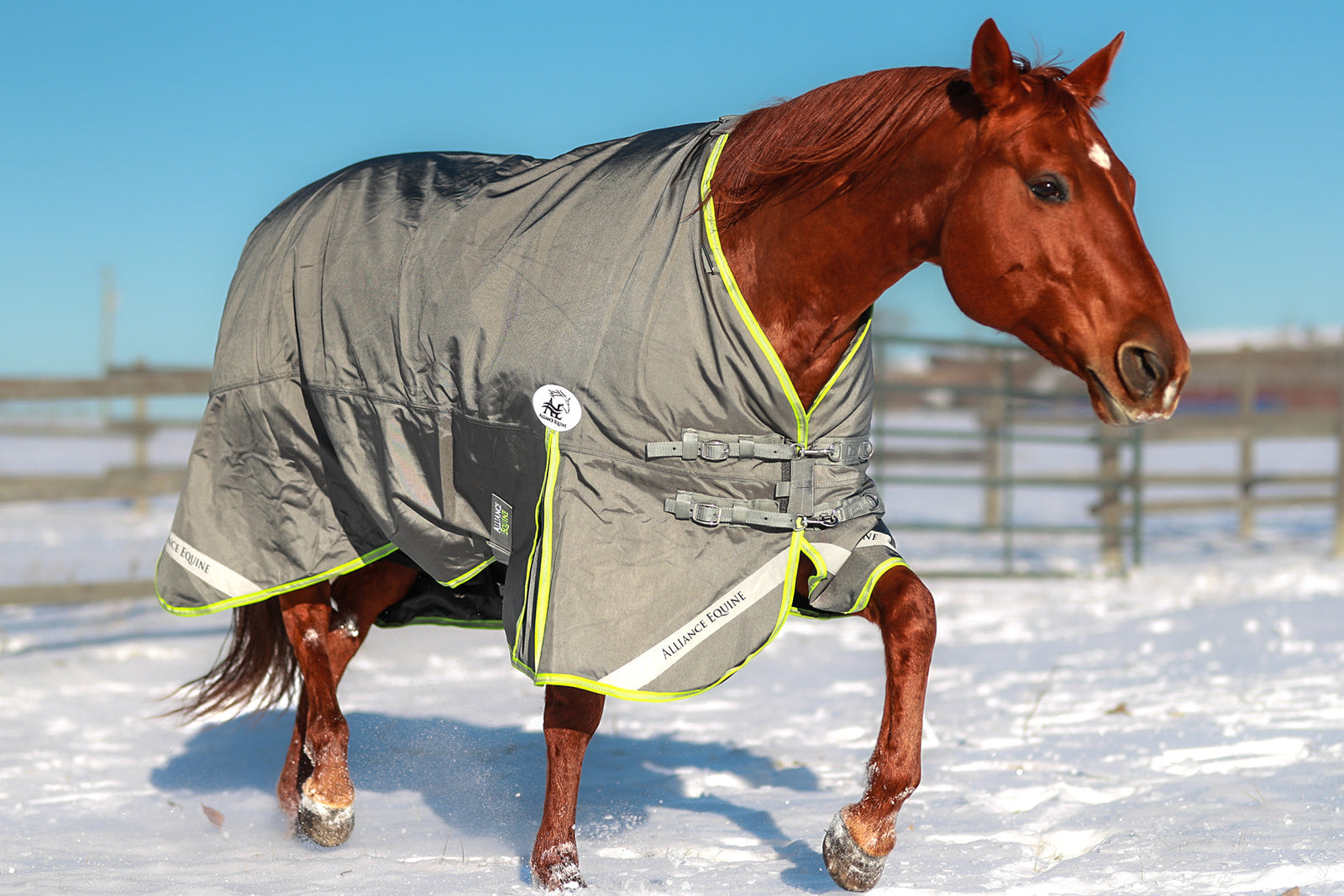 1200D Ballistic Nylon winter blanket quarter view