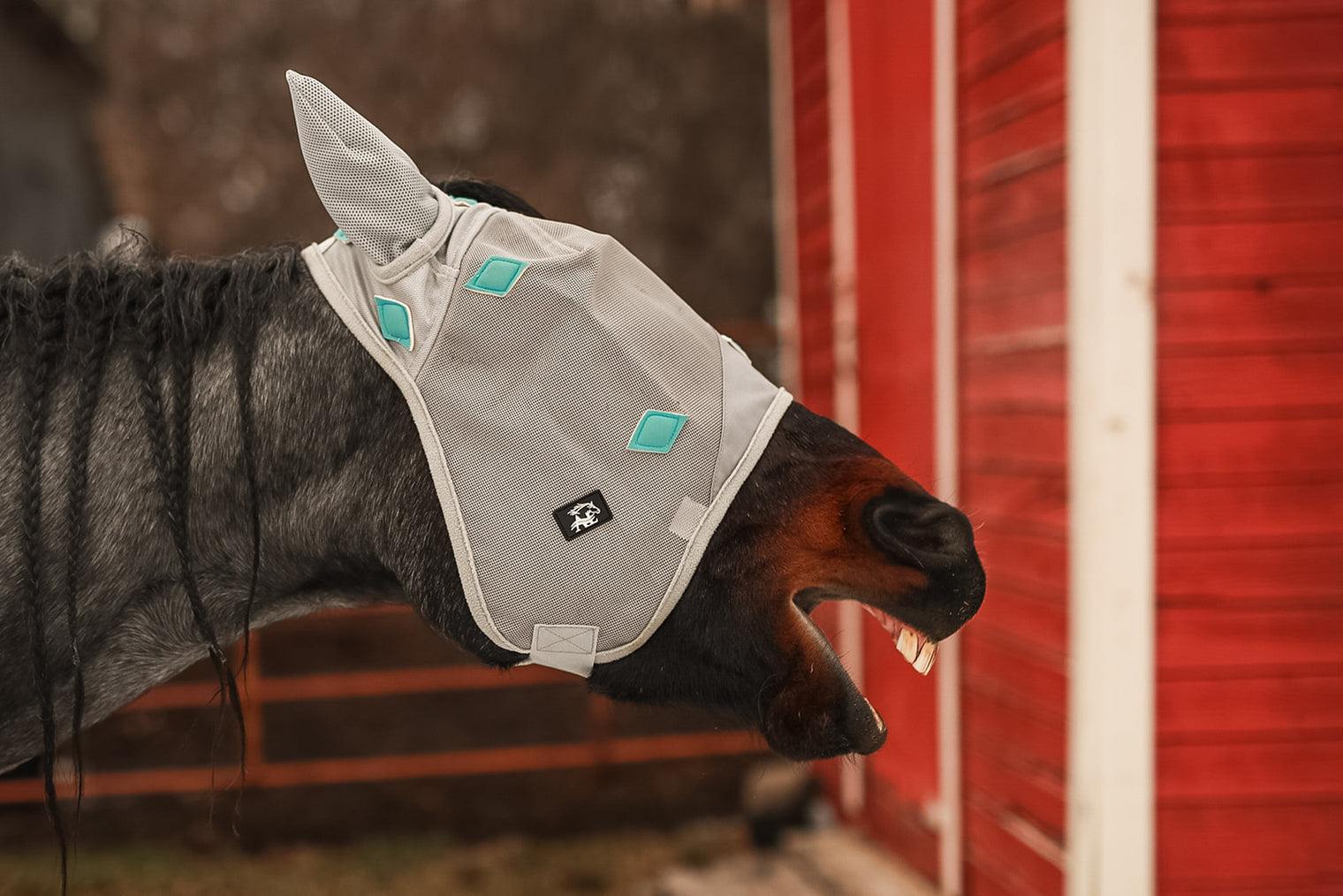 MAgnetic Mask side view horse yawning