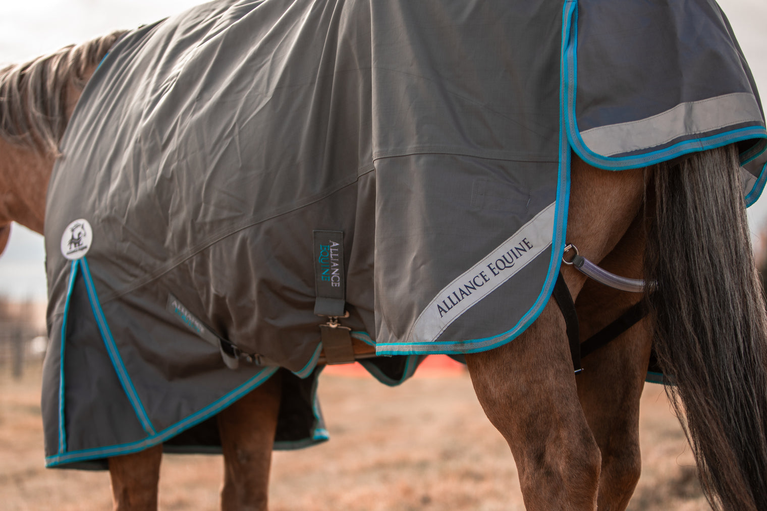 Ballistic Nylon Rain sheet wipe clean tail cord