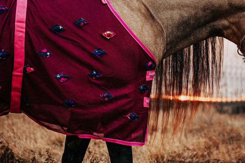 Magnitude Magnetic Sheet