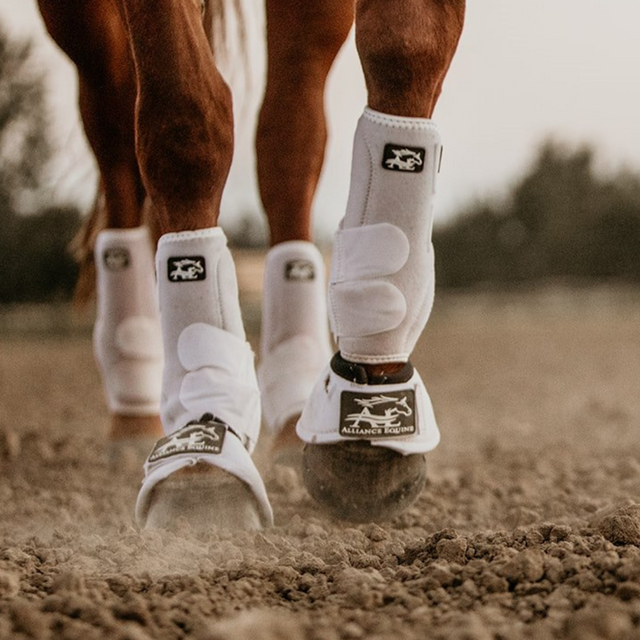 Bottes de protection sport V10X pour membres postérieurs