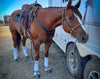 <p>Alliance Equine care about the needs and desires of our equine athletes. Not only did I feel Spic and span in my new set of Alliance equine boots,  I knew Ginger would have the best protection going into our run today at the Calnash. I was pleased when I pulled the boots off after and there was zero “leakage” of dirt inside the boots. The Velcro is sturdy which is a must and has the perfect stretch in all the right ways. 10/10 for these V10X boots! Thank you  🤩</p>