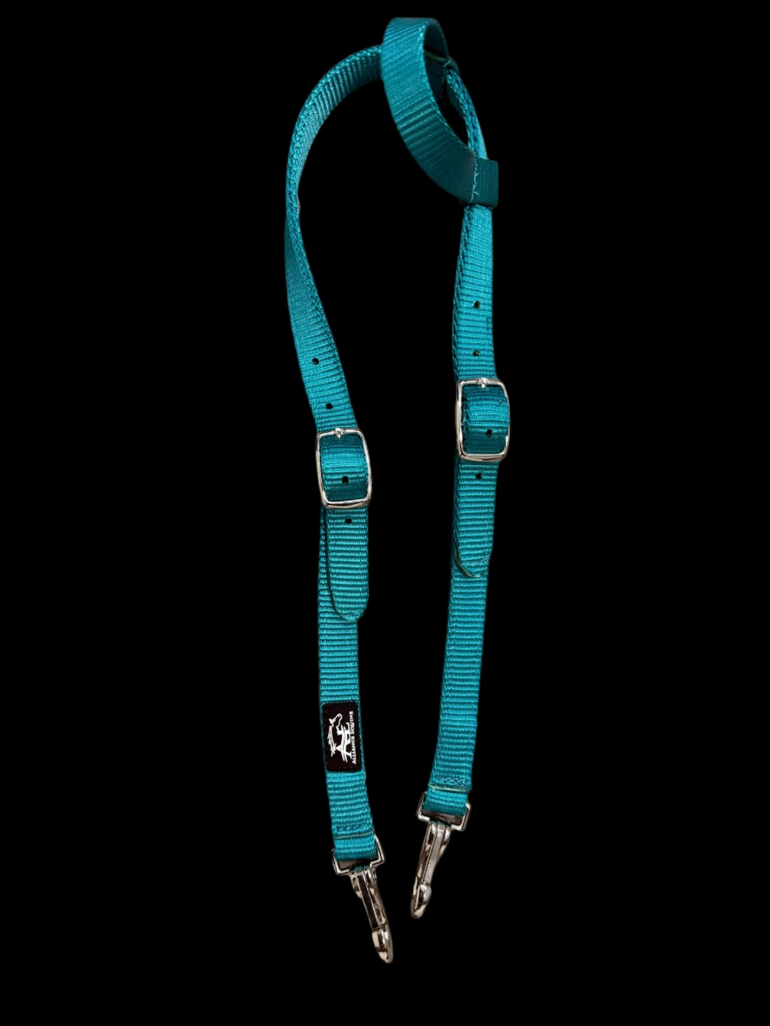 Turquoise Alliance Equine quick change headstall