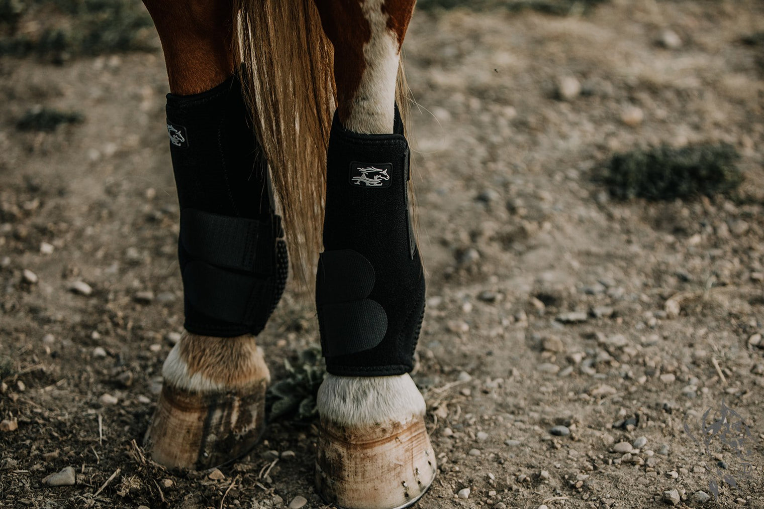 V20x HIND Botte de protection sport