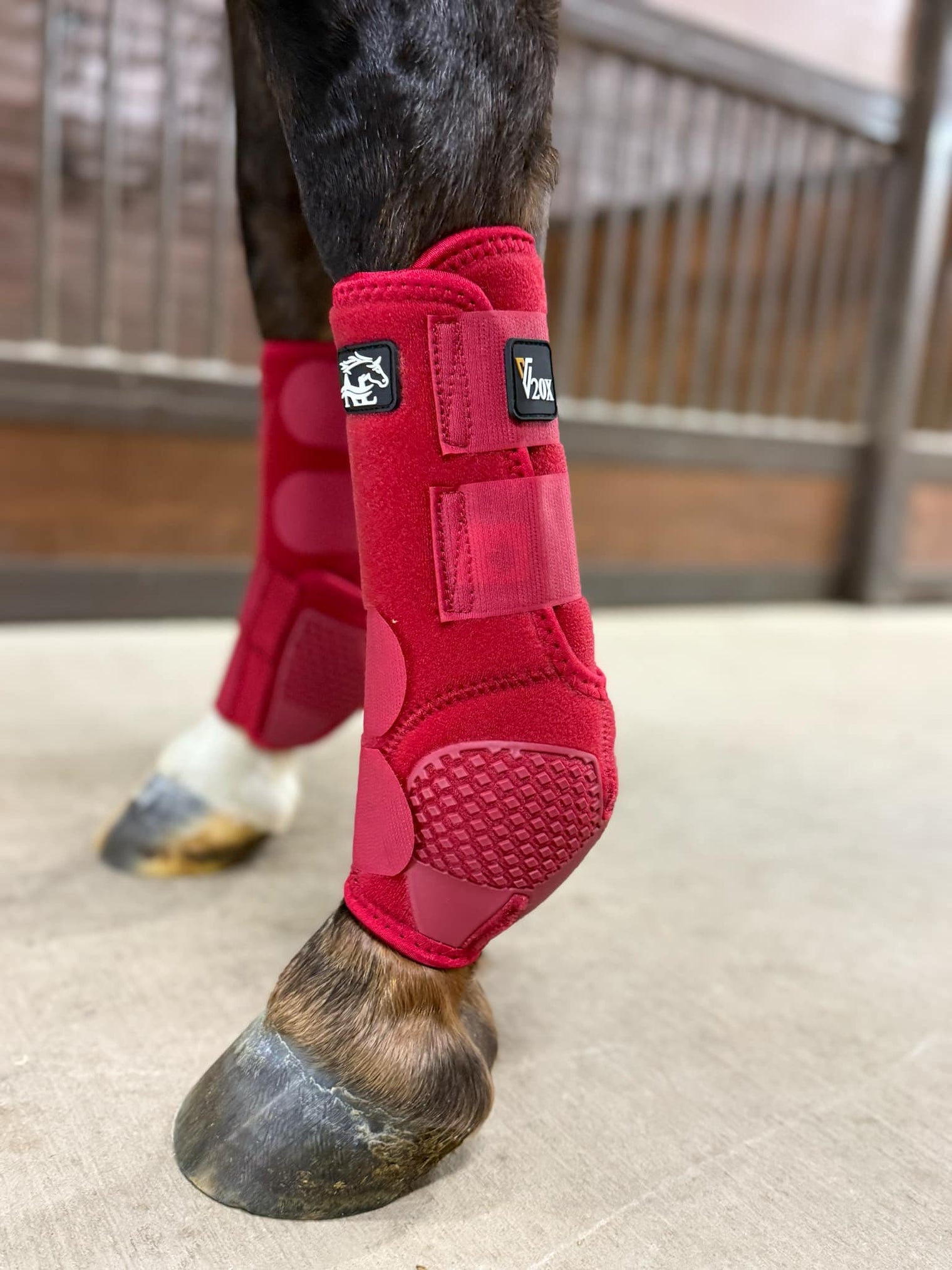 Red V20x Sport Protective front boot in stable.