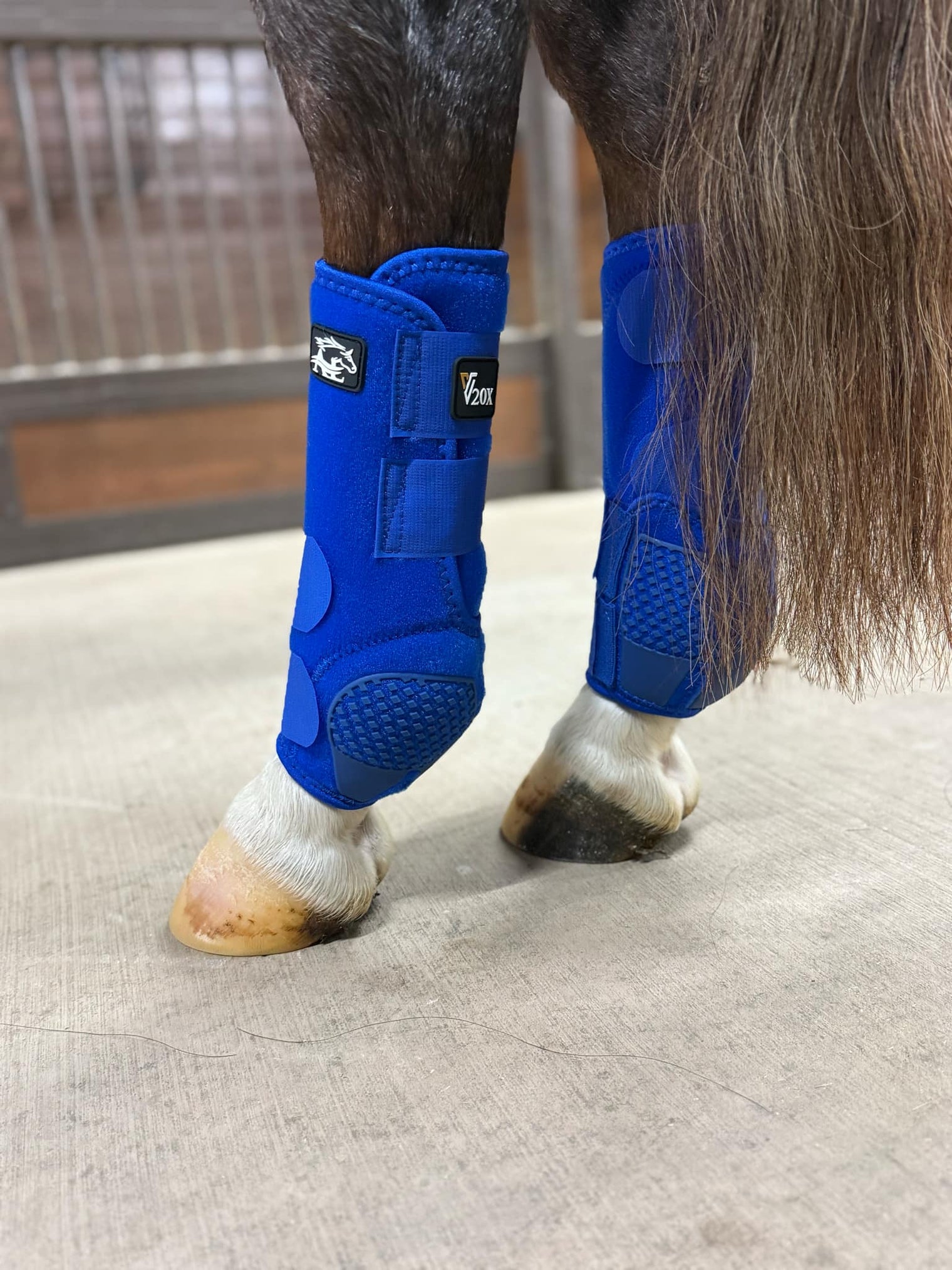 Royal Blue V20x Sport Protective hind boot in stable.