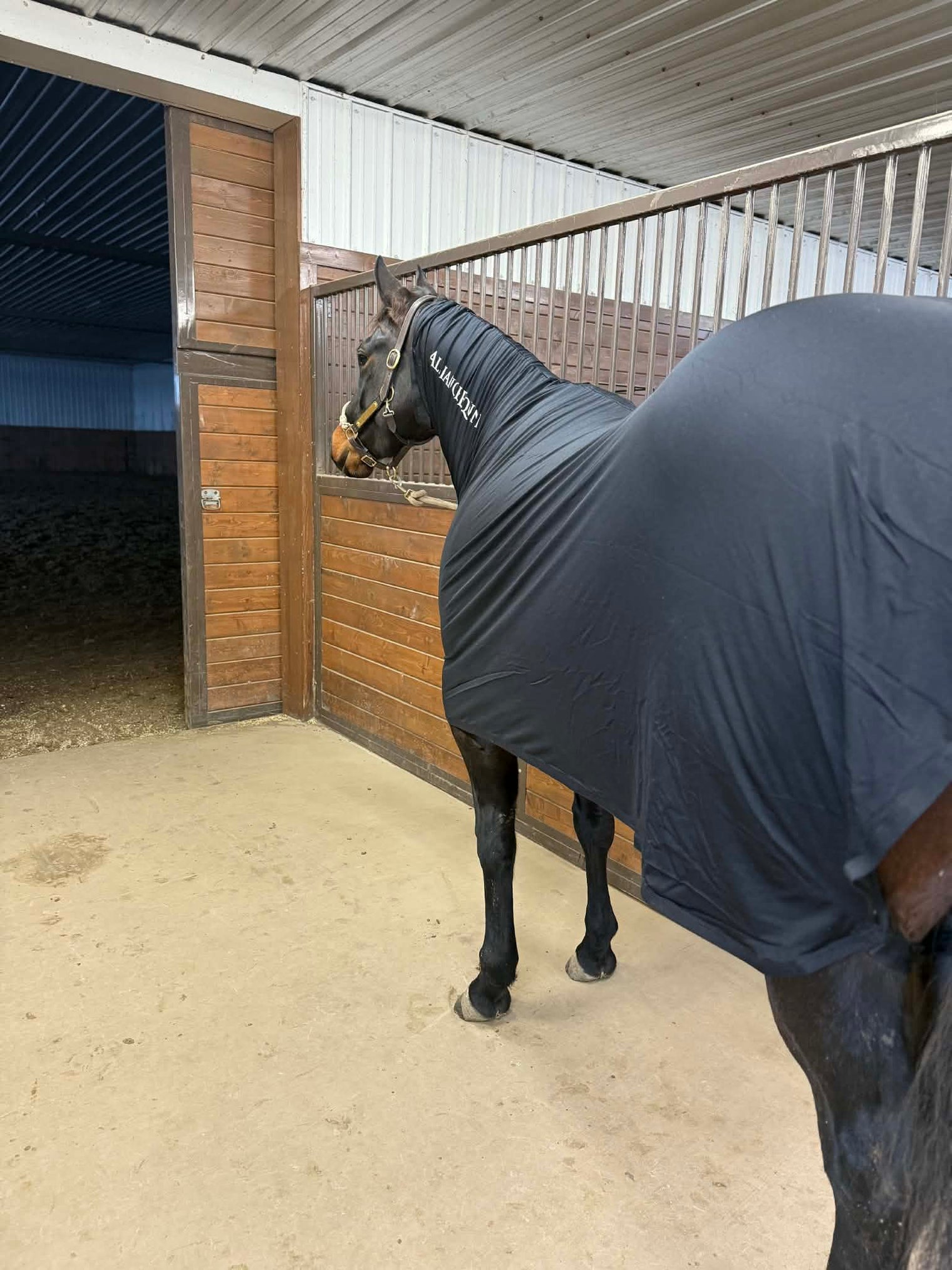 Faceless Full-Body Slinky