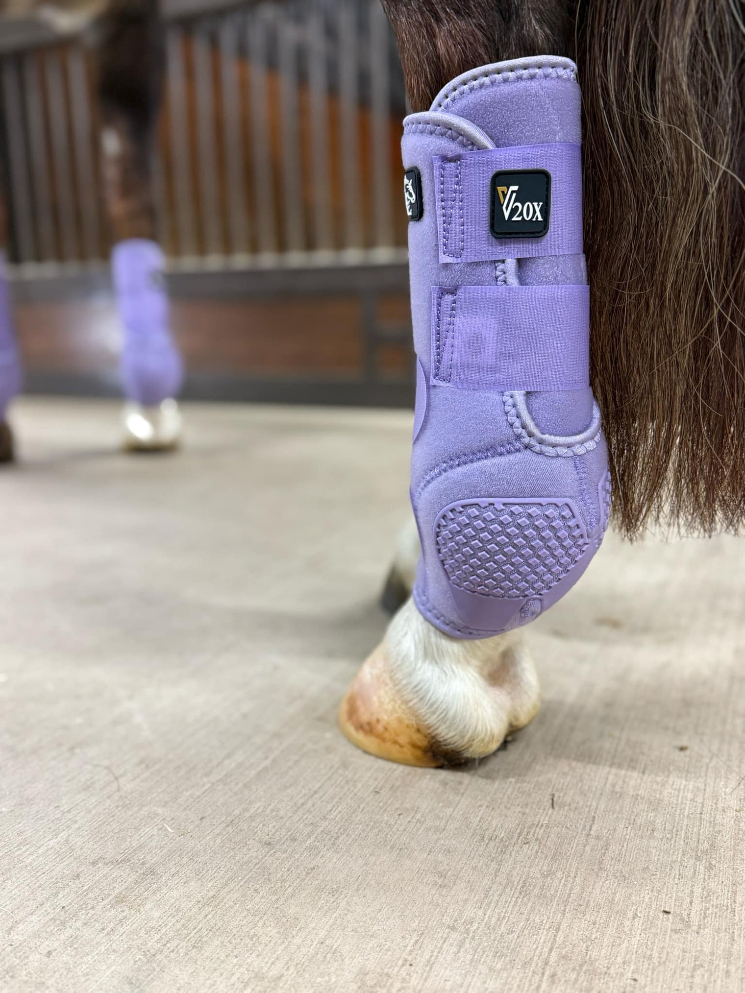 Lavender V20x Sport Protective hind boot in stable.