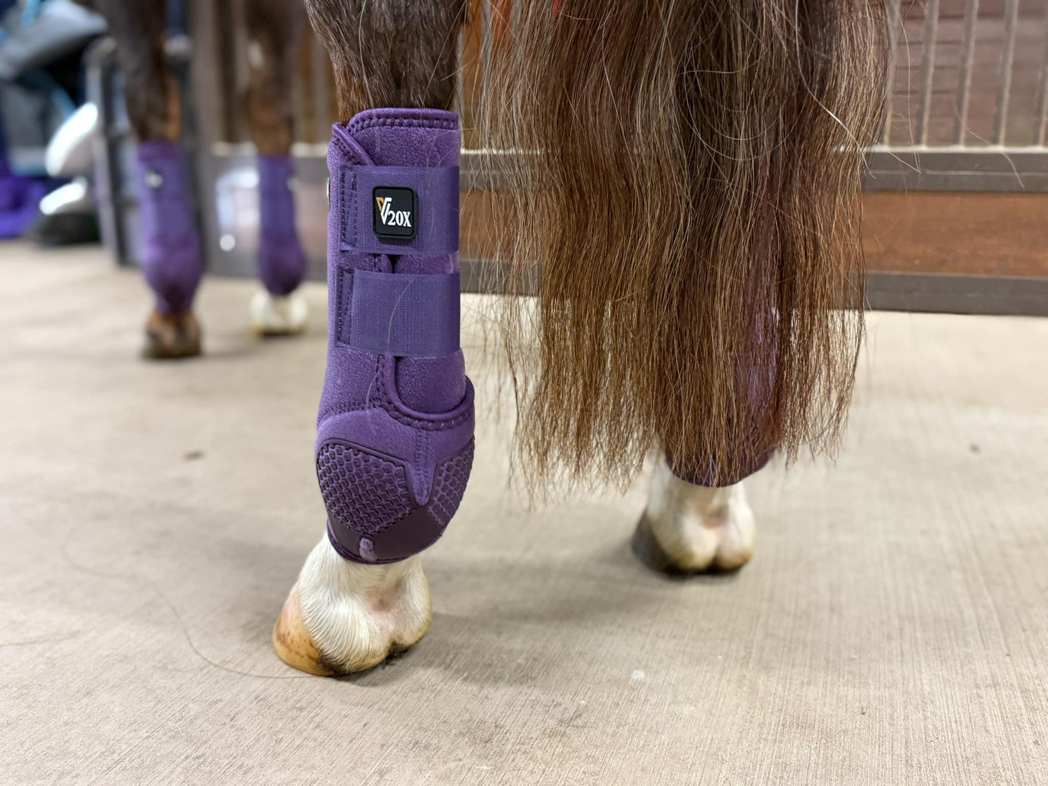 Plum V20x Sport Protective hind boot in stable.
